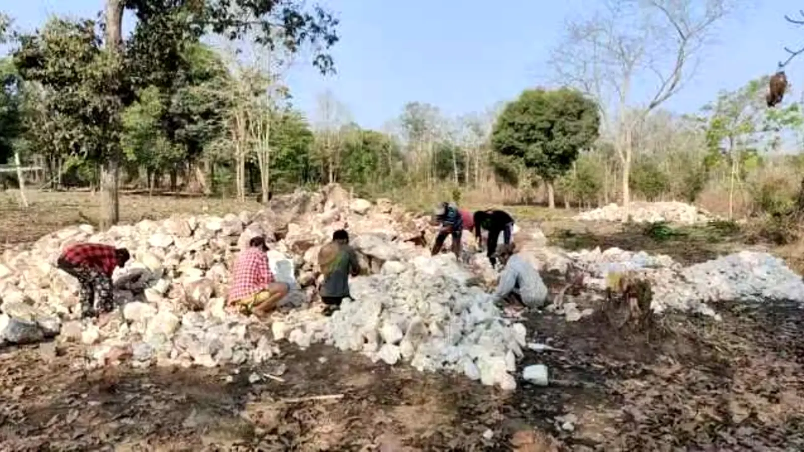 精硅可控缅甸矿源现场,工作人员正在筛选石英原矿