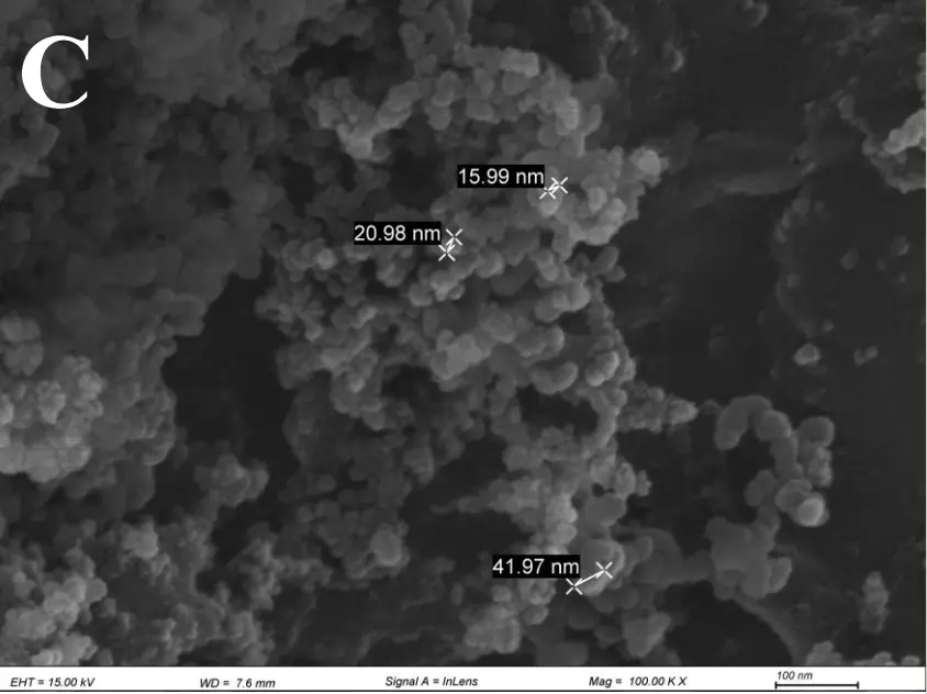 SEM image of nanoscale silica with measured features from 15.99 to 41.97 nanometres